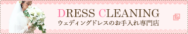 DRESS CLEANING ドレスのお手入れ専門店