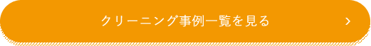 クリーニング事例一覧を見る