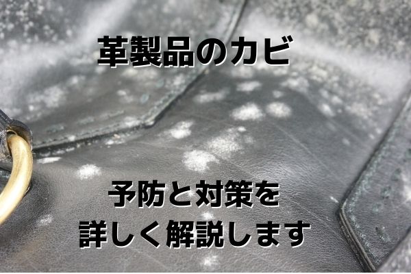 革製品のカビ 予防と対策を詳しく解説します 協和クリーニング 革製品のカビ 予防と対策を詳しく解説します 協和クリーニング