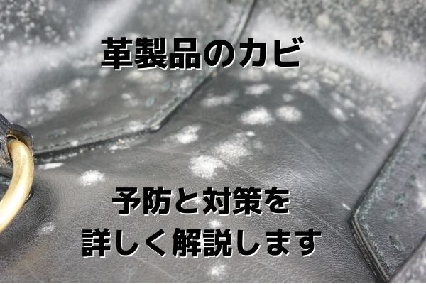 【革製品のカビ】予防と対策を詳しく解説します